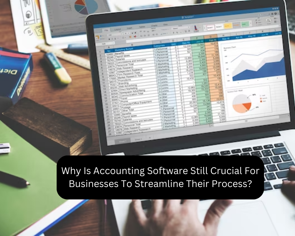Why Is Accounting Software Still Crucial For Businesses To Streamline Their Process?